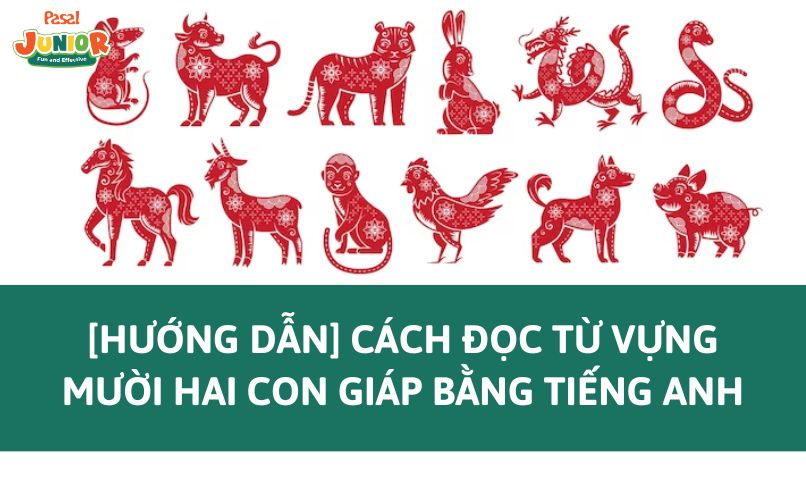 [Hướng dẫn] Cách đọc từ vựng mười hai con giáp bằng tiếng Anh